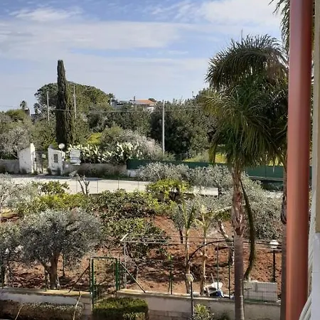 Gabriele Sofia Holiday home Lido di Noto